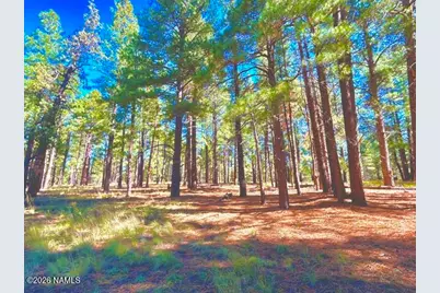 331 Kiowa, Flagstaff, AZ 86005 - Photo 4