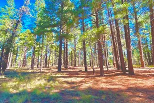 331 Kiowa, Flagstaff, AZ 86005 - Photo 4