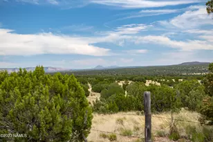 000-C Wooden Ear Ranch Rd, Seligman, AZ 86337 - Photo 1