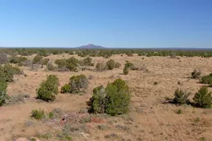 515 N Wyandotte Rd, Williams, AZ 86046 - Photo 1