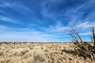 3067 S Dartmouth St, Williams, AZ 86046 - Photo 1