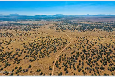 3350 Silver Bear Lane #Lot 1, Williams, AZ 86046 - Photo 1