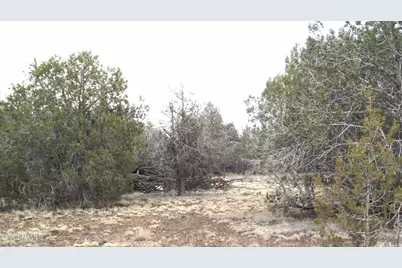 3581 N Knoll Drive, Williams, AZ 86046 - Photo 1