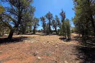Parcel #50227043A- Bull Run Rd, Williams, AZ 86046 - Photo 1