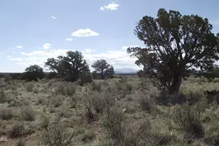 221 S Silver Oaks Dr, Williams, AZ 86046 - Photo 1