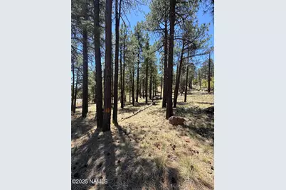 1575 Pine Meadow Drive, Williams, AZ 86046 - Photo 1