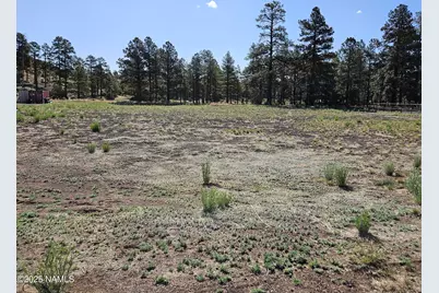 6668 Johnson Ranch Road, Flagstaff, AZ 86004 - Photo 1