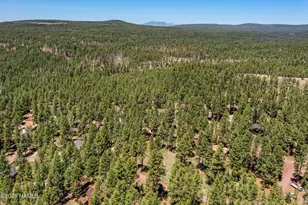 340 Barnwood Trail, Munds Park, AZ 86017 - Photo 1