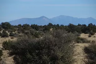 7420 Mineral Wells Rd, Williams, AZ 86046 - Photo 1