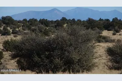 7428 Mineral Wells Road, Williams, AZ 86046 - Photo 1
