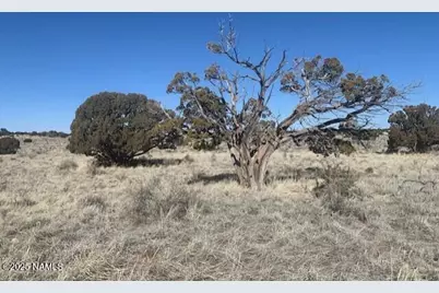 790 S Wyandotte Road, Williams, AZ 86046 - Photo 1