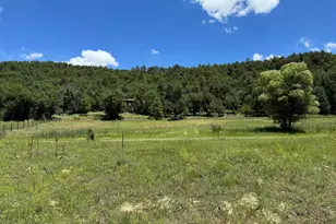 76 Lake View Ct, Happy Jack, AZ 86038 - Photo 1