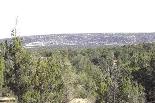 802 E Wampum Ln, Williams, AZ 86046 - Photo 1