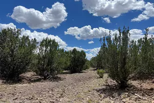 3472 Whitetail Loop, Williams, AZ 86046 - Photo 1