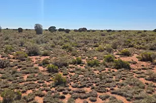 2334 S Spring St, Williams, AZ 86046 - Photo 1