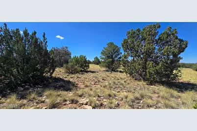 3810 E Wingfield Road, Williams, AZ 86046 - Photo 1