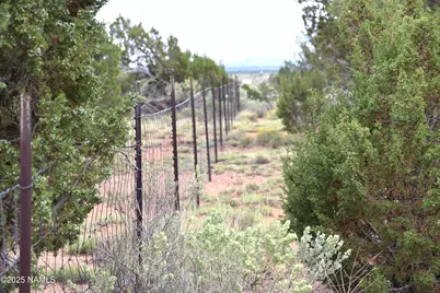 756 S Big Springs Road, Williams, AZ 86046 - Photo 1