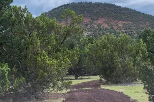 1443 E Galewood Dr, Williams, AZ 86046 - Photo 1