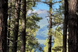 9285 Coyote Pass, Flagstaff, AZ 86001 - Photo 1