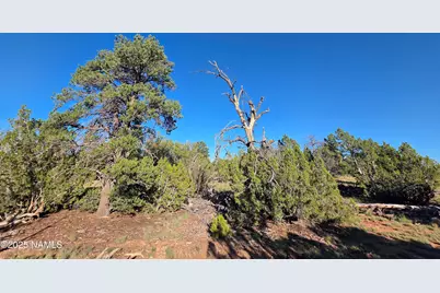 #50231228A Red Butte Rd Parcel #50231228A, Williams, AZ 86046 - Photo 1
