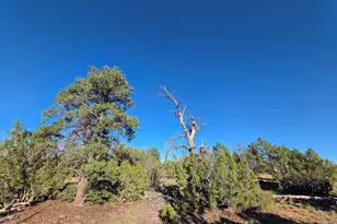 Red Butte Rd Parcel, Williams, AZ 86046 - Photo 1