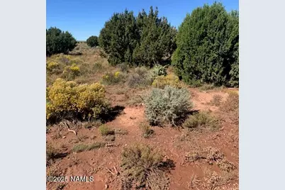 1292 Indian Meadows Road, Williams, AZ 86046 - Photo 1