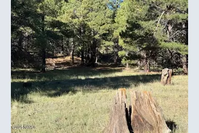 5440 Cottontail Lane, Flagstaff, AZ 86005 - Photo 1