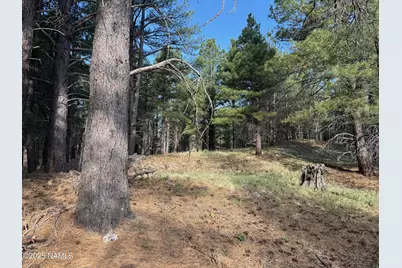 5770 White Tail Lane, Flagstaff, AZ 86005 - Photo 1