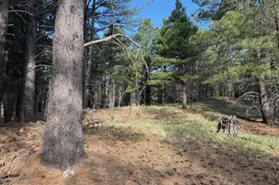 5770 White Tail Ln, Flagstaff, AZ 86005 - Photo 1