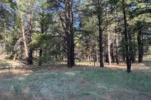 5800 White Tail Ln, Flagstaff, AZ 86005 - Photo 1