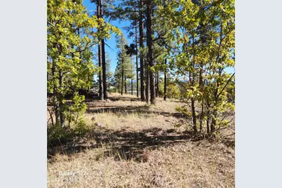 1564 W Lower Coconino Avenue, Flagstaff, AZ 86001 - Photo 1