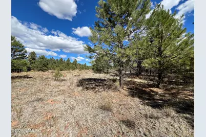 11322 E Park Lane, Parks, AZ 86018 - Photo 1