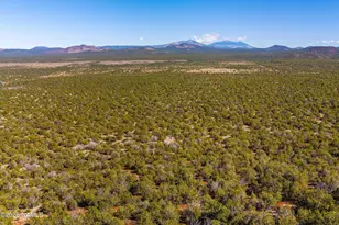 12559 Chinchilla Way, Williams, AZ 86046 - Photo 1