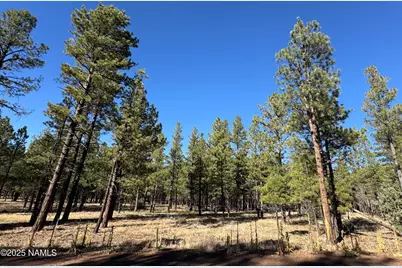 Lot 3L N Quintana Drive, Flagstaff, AZ 86001 - Photo 1
