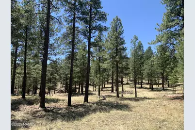 2343 E Del Rae Drive #176, Flagstaff, AZ 86005 - Photo 1