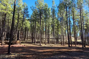 13398 E Fallow Deer Rd, Parks, AZ 86018 - Photo 1