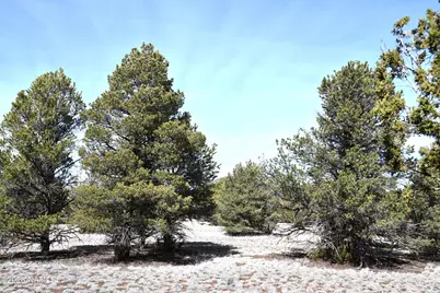 7590 Daisy Drive, Williams, AZ 86046 - Photo 1