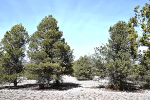 7590 Daisy Drive, Williams, AZ 86046 - Photo 1