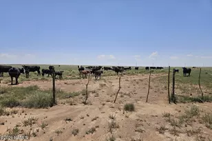 Near Old Holbrook Rd Rd, Holbrook, AZ 86025 - Photo 1