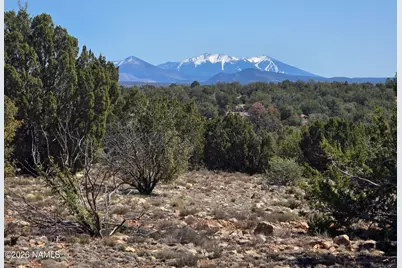 8299 W Clear Fork Loop, Williams, AZ 86046 - Photo 1