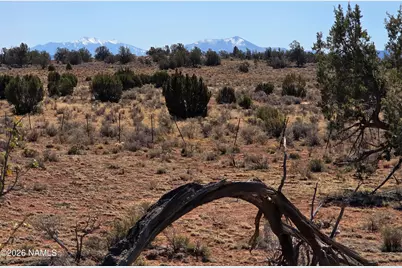 1153 E Indian Meadows Road, Williams, AZ 86046 - Photo 1