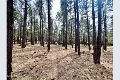 7350 E Jolly Rogue Lane, Williams, AZ 86046 - Photo 1