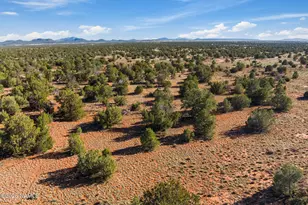 9875 Hawkeye Cir, Williams, AZ 86046 - Photo 1