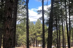 9410 Coyote Pass, Flagstaff, AZ 86001 - Photo 1