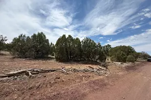 732 E Sidewinder Rd, Williams, AZ 86046 - Photo 1