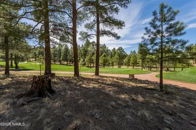 3663 S Woodland Hills Drive, Flagstaff, AZ 86005 - Photo 1