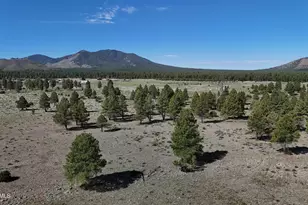 10440 Forest Service Rd 144, Parks, AZ 86018 - Photo 1