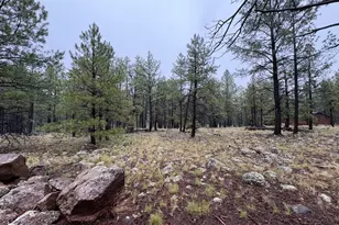 787 S Friar Tuck Trail, Williams, AZ 86046 - Photo 1