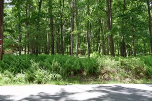 259 Fawn Lake Dr, Hawley, PA 18428 - Photo 1