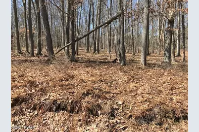 259 Fawn Lake Drive, Hawley, PA 18428 - Photo 2